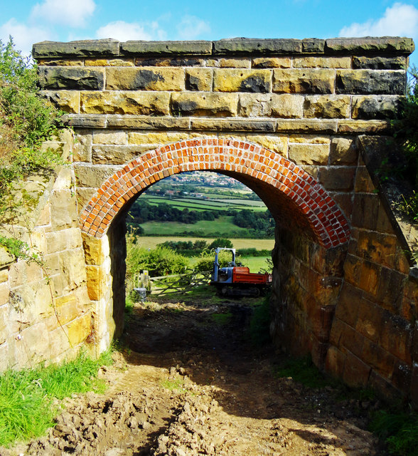 Old Railway Arch Bridge