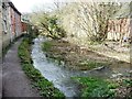 The Thames & Severn Canal, west of the A419, Chalford