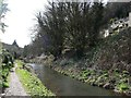 The Thames & Severn Canal, looking westwards