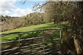 Field near Higher Clowne