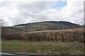 Farmland below Pen y Garn-goch