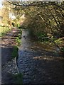 Cotswold Way by Tyley Stream