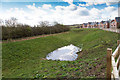 Drainage pond off Copeland Avenue