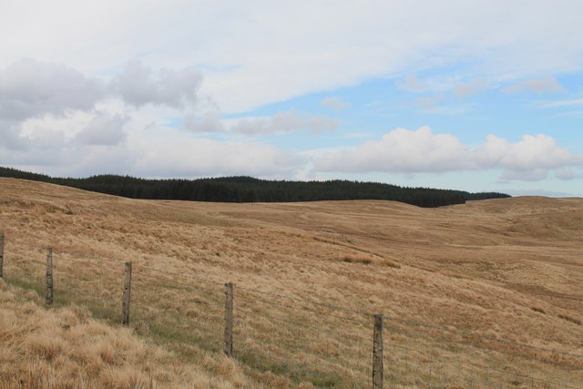 Edge of the Carn-Fflur Forest