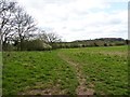 Footpath to Water Tower from Tagwell Open Space, Droitwich