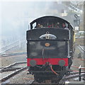 The "Lydham Manor" approaches Goodrington Station