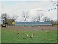 SJ7365 : Free range poultry, Sproston by Stephen Craven