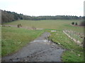 Farm track off Langley Lane