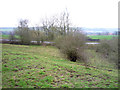 Grazing off Langley Lane