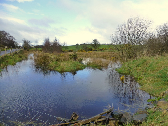 swampy-ground-mullaghslin-glebe-kenneth-allen-cc-by-sa-2-0