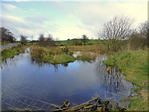 H5672 : Swampy ground, Mullaghslin Glebe by Kenneth  Allen