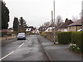 North Grove Crescent - viewed from North Grove Drive