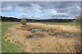 Marsh at Cubbox Isle