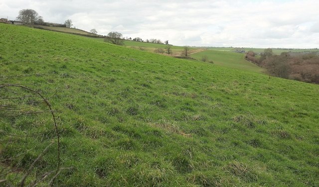 Field above Norton Brook