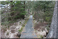 NX7078 : Boardwalk, Knowetop Lochs Reserve by Billy McCrorie