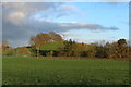 Radio Mast on Dunmuir Hill