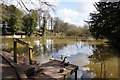 Albrighton Pool from Rectory Road, Albrighton