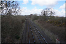 SJ8005 : Rail lines off Rectory Road, Albrighton by Ian S