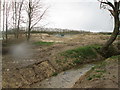 Meadow  Stream  In  the  rain