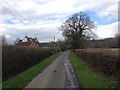 Peens Lane, near Boughton Monchelsea