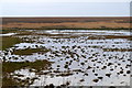 SD3621 : Crossens Out Marsh from the Marine Drive at Marshside by Mike Pennington