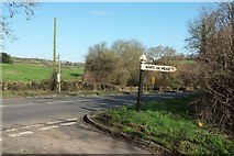 ST7158 : Signpost by the A367 by Derek Harper