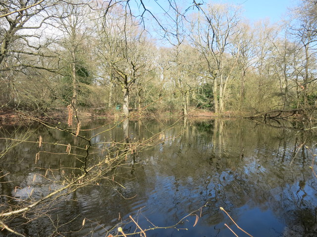 Kiln Pond, Burnt Hill