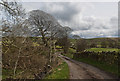 The track to Old House Farm