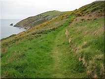 SX3454 : Coast path above Eglarooze Cliff by Philip Halling