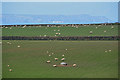 Torridge : Countryside Scenery