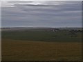 View north from Beachy Head