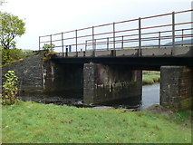 SH6717 : Old railway bridge on the Mawddach Trail by Eirian Evans
