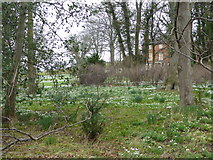 SJ4703 : Part of the garden at Walford House north of Dorrington, Shropshire by Jeremy Bolwell