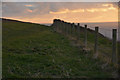 Torridge : Grassy Field