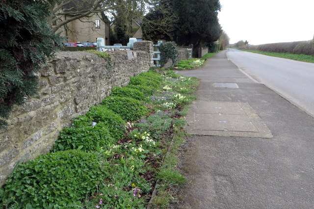 Lane by Bricknell's Farm
