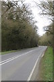 The Roman Road goes by Fringfordhill Covert