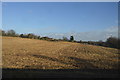 Stubble field, Mancetter