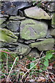 Benchmark on Garendon Park boundary wall