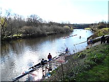 NZ2850 : Boating on the River Wear at Chester-le-Street by Bill Henderson