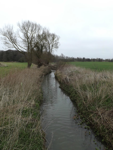 Tributary of the River Gipping © Adrian Cable :: Geograph Britain and ...