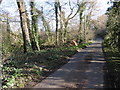 The Wealdway along St Vincents Lane