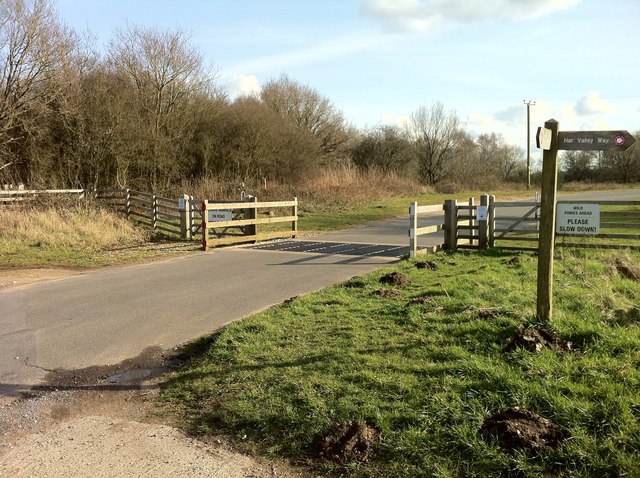 Cattle grid on Litcham Common