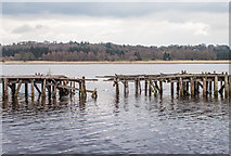 NS4473 : Pier at Bowling by William Starkey