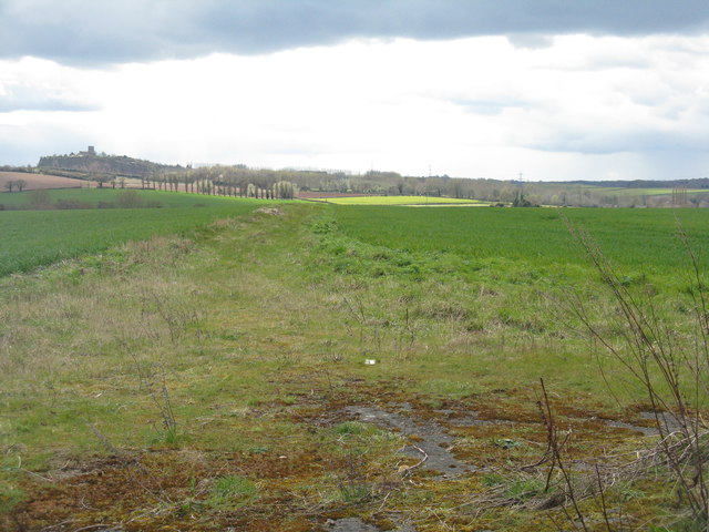 Fields at Donington Farm
