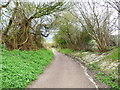 Lane at the top of Chalk Hill, Great Offley