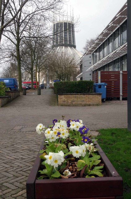 Flower Box and Catholic Cathedral