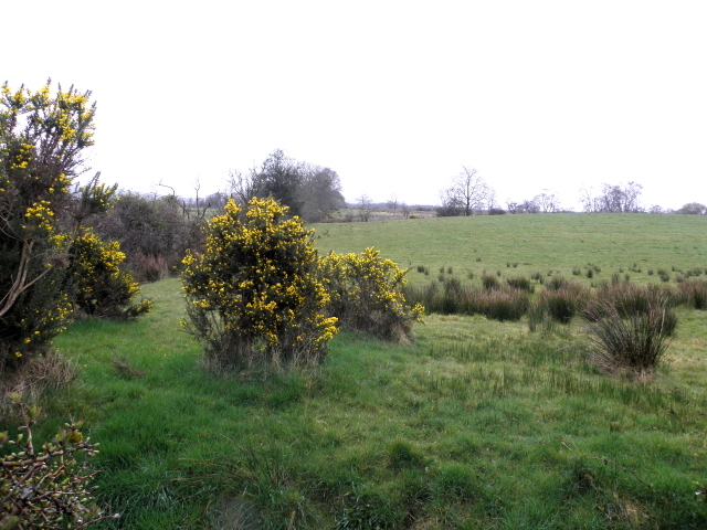 Whins, Trinamadan © Kenneth Allen :: Geograph Ireland