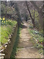 Footpath - Bank End Lane