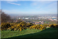 View from Boston Castle, Rotherham