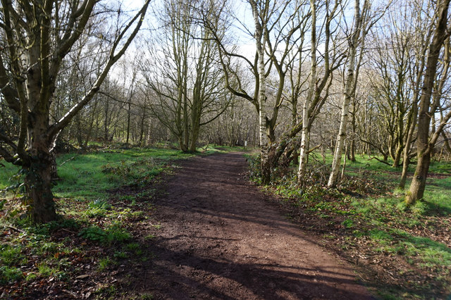 Trans Pennine Trail towards Canklow... © Ian S :: Geograph Britain and ...